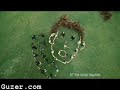 amazing funny tv commercial   talk talk