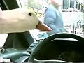 A Duck Drives to Manhattan A Duck Drives to Manhattan