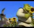 corum shrek 1 1