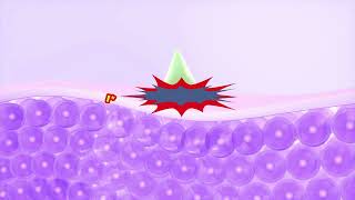 video thumbnail Clean Face Gargle Gel-to-Foam Cleanser Mild youtube