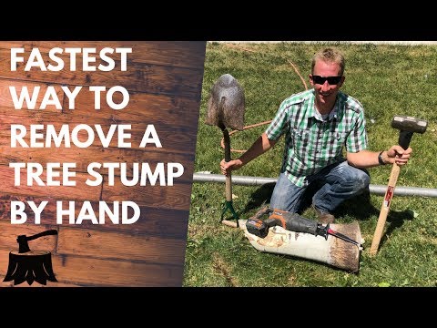 How To Remove A Tree Stump By Hand (In 20 Minutes Or Less)