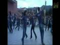 Danzas - Videos de la Semana Musicalberk 2008