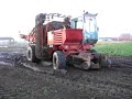 dewulf R6000  loading celeriac