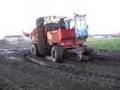 dewulf R6000  loading celeriac