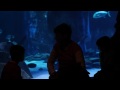 London Aquarium
