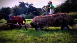 Українське село