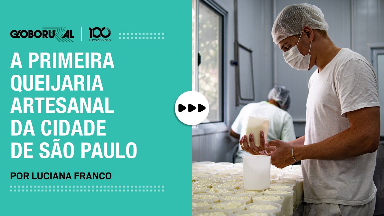 A primeira queijaria artesenal da cidade de São Paulo | Globo Rural