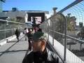 videos de Kent in Las Vegas