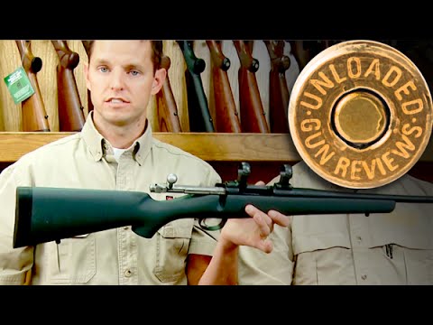 how to decide where to hunt deer