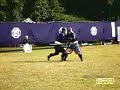 Yagyu Shingan ryu katchu heiho yoroi kumi uchi