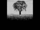 videos de Disappearing Marry - A Short Anamation