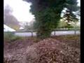 Video-0004.mp4
