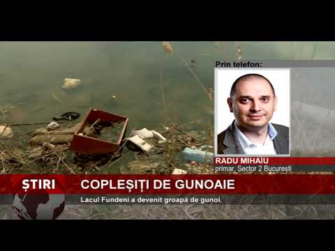 Lacul Fundeni, groapă de gunoi