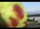 Attack of the killer guava