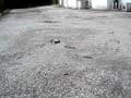 videos de my electric rc car