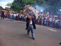 Torito pinto