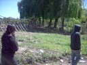 finde en potre