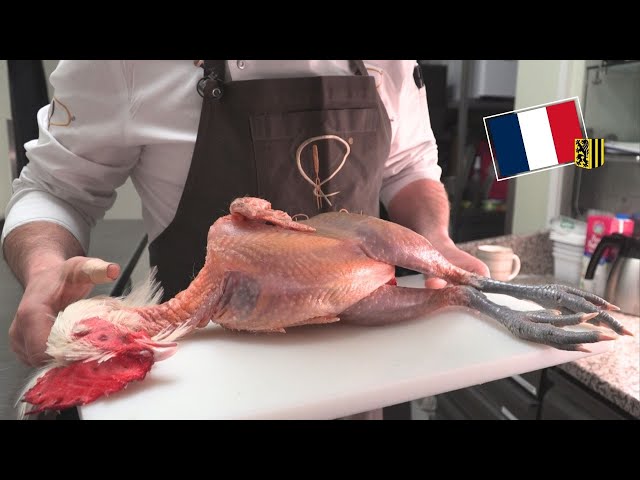 Gebackener Bresse Gauloise Hahn