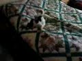 Susi :) 2009
