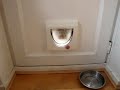 Bilbo squeezing through - the best yet!