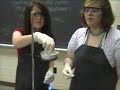 Nicole and Cameo Doing the Gold & Silver Penny Lab