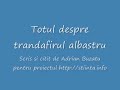 Iata ca omul a reusit sa creeze ceea ca Natura inca nu produsese: trandafirul albastru. Aflati povestea acestei realizari! Articol scris si citit de Adrian Buzatu pentru proiectul romanesc de popularizare a stiintei, http://stiinta.info
