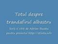 Totul despre trandafirul albastru