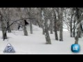 Ski the deep powder storms from Siberia in Niseko ニセコ