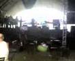 Grownling Machines - We Will Never Die (at Playground 2008)