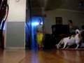 sock sliding sisters