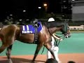 TOKYO CITY KEIBA(Horse racing)大井競馬場観戦です。編集していませんが雰囲気だけでもどうぞ、、、、、
