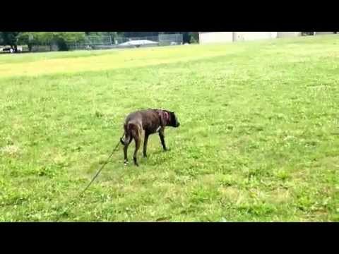 how to provide good training