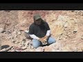 North American Treasure Hunter