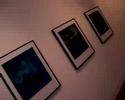 Exhibition at Pascal Polar Gallery
