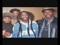 roots evolutive reggae tribute to my nation positve vibrations