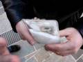 videos de Le glacon chaud