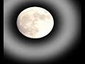 Boz Scaggs - Sail on White Moon