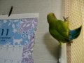 意地悪していませんよ