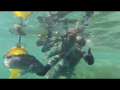 ловля окуня в заливе видео ловля окуня в заливе видео