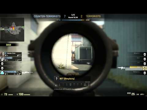 how to control cs go bot