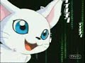 Gatomon et Aquilamon au Silphymon (Francais)