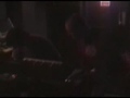 Stoltz - House of the rising Sun Live Stoltz - House of the rising Sun Live