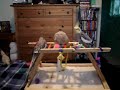 Meet our 10 cockatiels Meet our 10 cockatiels
