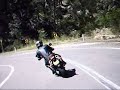 Hornet from a ZZR12