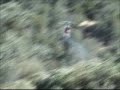r/c helicoptor shot down