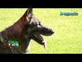 Preview video <strong>Selectiva para el Campeonato de Espa�a</strong> 