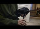 Reloader B Shocktech HD Redone