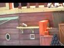 Clyde and Seamore Show at Sea World Part 1