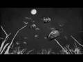 The Raveonettes - Sound of Color