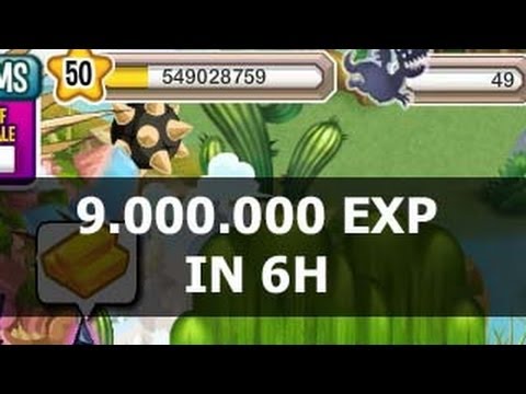 how to collect xp in dragon city
